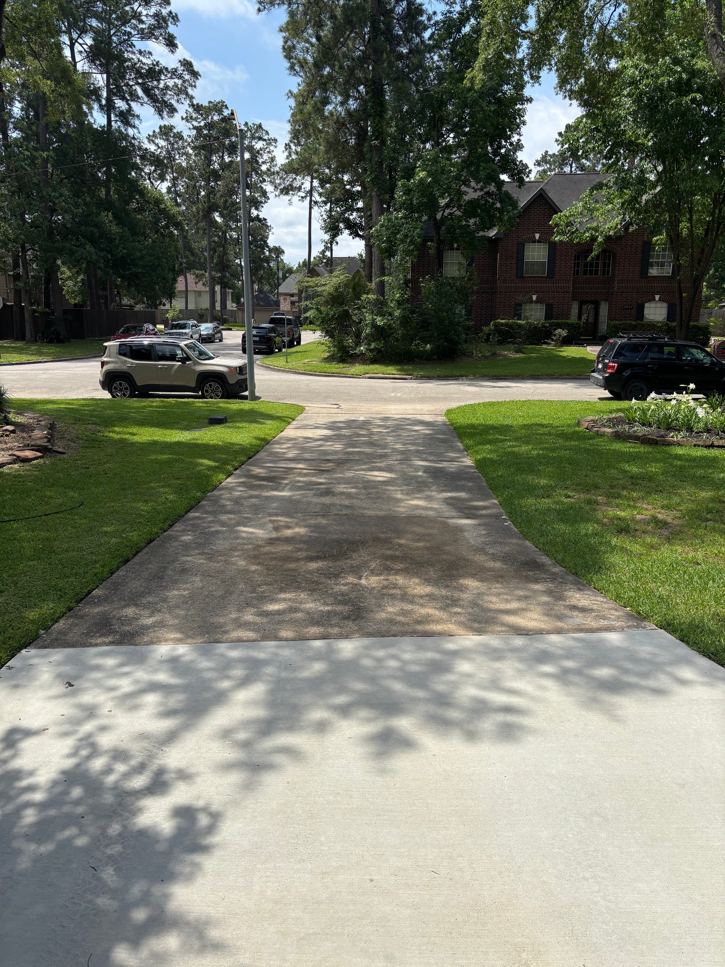 Driveway/concrete cleaning