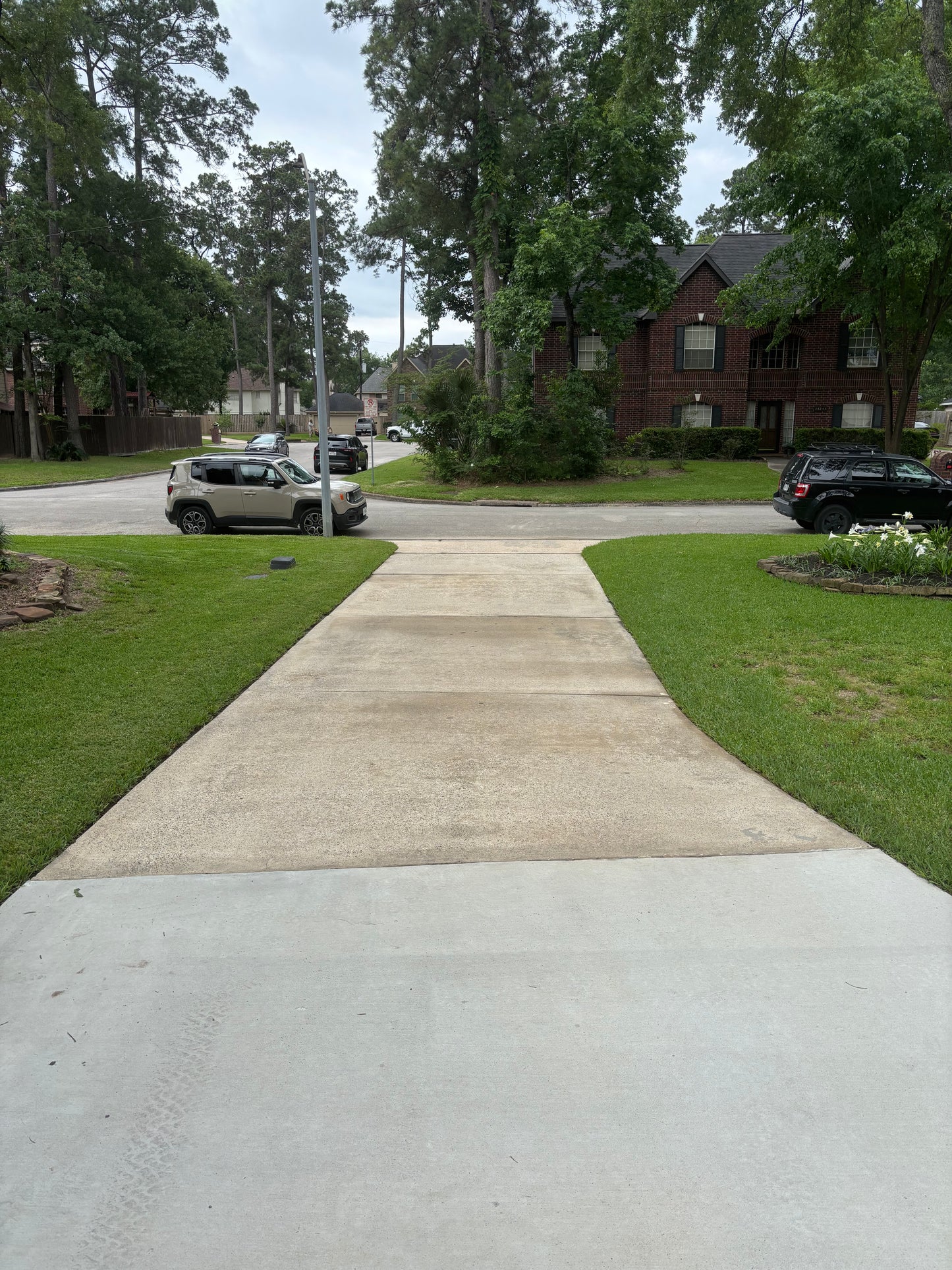 Driveway/concrete cleaning